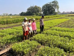 Bhabinkamtibmas Sambangi Petani, Dukung Ketahan Pangan Sesuai Asta Cita Presiden Prabowo