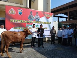 Polresta Sidoarjo Salurkan 90 Ekor Hewan Kurban di Momen Idul Adha 1446 H