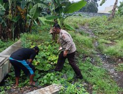 Polisi Dorong Ketahanan Pangan, Bhabinkamtibmas Aktif Pantau Lahan Pekarangan Warga