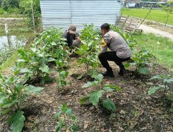 Polsek Jabon Aktif Dukung Program Ketahanan Pangan di Desa Kedungrejo