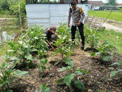 Bhabinkamtibmas Jemirahan Tinjau Lahan Pekarangan Warga, Dorong Ketahanan Pangan Bergizi