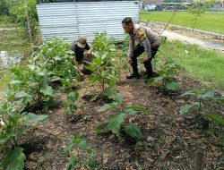 Wujudkan Ketahanan Pangan, Bhabinkamtibmas Jemirahan Cek Lahan Sayuran Warga