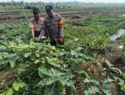 Kapolsek Taman Dorong Bhabinkamtibmas Aktif Dukung Ketahanan Pangan
