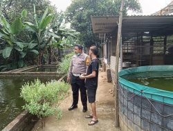 Kapolsek Tarik Apresiasi Budidaya Lele Warga Desa Kramat Temenggung