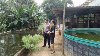 Kapolsek Tarik Apresiasi Budidaya Lele Warga Desa Kramat Temenggung