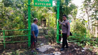 Kapolsek Tulangan Dorong Ketahanan Pangan Melalui Perawatan Lahan Pekarangan Warga di Desa Singopadu