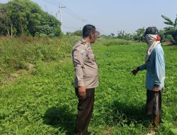 Kepedulian Bhabinkamtibmas Desa Kupang Polsek Jabon Terhadap Petani Guna Mendukung Ketahanan Pangan Bergizi