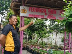 Kreatif, Polsek Tulangan Wujudkan Ketahanan Pangan dari Lahan 10×10 Meter