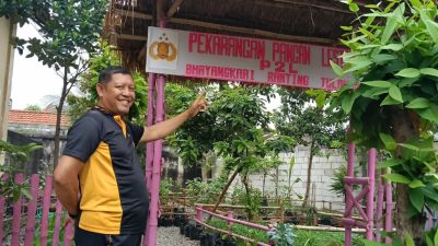 Kreatif!, Polsek Tulangan Wujudkan Ketahanan Pangan dari Lahan 10×10 Meter
