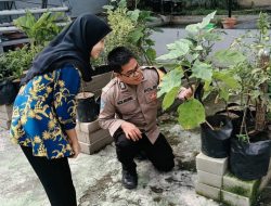 Mendorong Kemandirian Pangan, Bhabinkamtibmas Tropodo Polsek Waru Cek Lahan Sayur Milik Warga