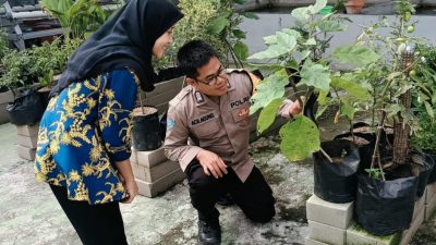 Mendorong Kemandirian Pangan, Bhabinkamtibmas Tropodo Polsek Waru Cek Lahan Sayur Milik Warga