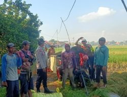 Optimalkan Ketahanan Pangan, Bhabinkamtibmas Cek Lahan P2B di Desa Semambung Jabon