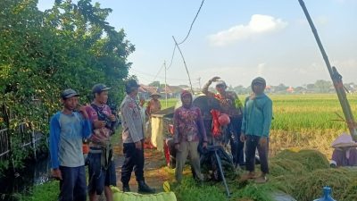 Optimalkan Ketahanan Pangan, Bhabinkamtibmas Cek Lahan P2B di Desa Semambung Jabon