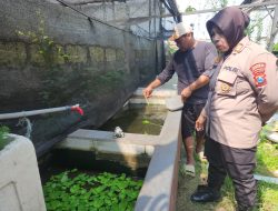 Perkuat Ketahanan Pangan, Polsek Gedangan Ajak Warga Optimalkan Budidaya Lele