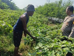 Polisi Ajak Warga Manfaatkan Pekarangan Jadi Kebun Sayur, Wujudkan Ketahanan Pangan di Desa Permisan