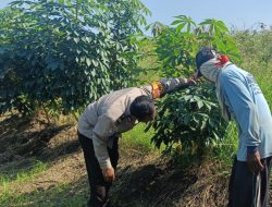 Polisi Dukung Pangan Bergizi, Bhabinkamtibmas Panggreh Lakukan Pengecekan Lahan Pekarangan