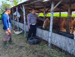 Polisi Tinjau Lahan Ketahanan Pangan, Dorong P2B di Tanggulngin