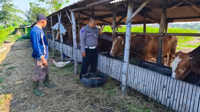 Polisi Tinjau Lahan Ketahanan Pangan, Dorong P2B di Tanggulngin