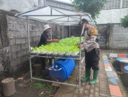 Polisi dan Warga Ngaban Bersinergi Perkuat Ketahanan Pangan Lewat Hidroponik