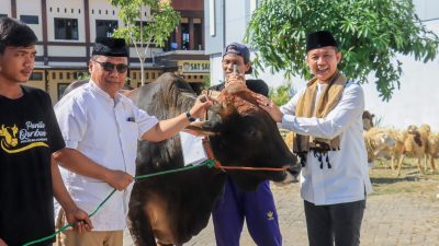 Polres Bojonegoro Salurkan Hewan dan Daging Qurban untuk Warga dan Mitra Kepolisian