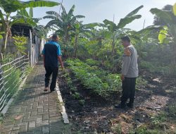 Polri Cinta Petani, Aiptu Eko Priyatno Tinjau Lahan Pertanian Singkong Warga Tulangan