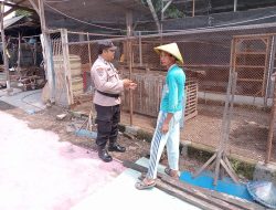 Polri Dukung Ketahanan Pangan Melalui Monitoring Peternakan Ayam Warga Desa Kepunten