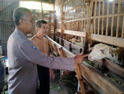 Polri dan Warga Kemantren Bersinergi Kembangkan Ketahanan Pangan Bergizi