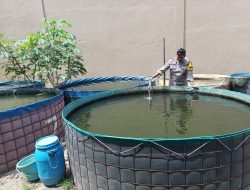 Polsek Jabon Apresiasi Budidaya Lele Sebagai Upaya Ketahanan Pangan