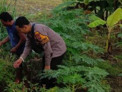 Polsek Jabon Tinjau Lahan Pertanian Desa Premisan Wujudkan Ketahan Pangan Bergizi