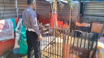 Polsek Porong Dukung Ketahanan Pangan, Cek Pembibitan Bebek Entok Jumbo di Desa Plumbon