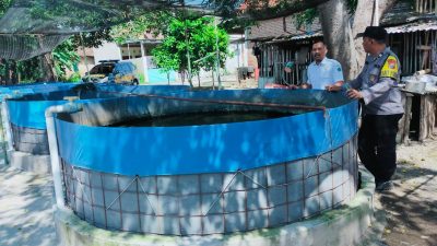 Polsek Sukodono Pantau Budidaya Lele di Masangan Kulon, Optimalkan Ketahanan Pangan Warga