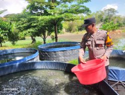 Polsek Taman Dampingi Warga Penggerak Ketahanan Pangan Polresta Sidoarjo