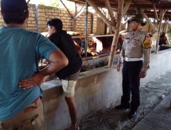 Polsek Tanggulangin Dukung Ketahanan Pangan, Bhabinkamtibmas Cek Peternakkan Warga
