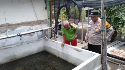 Polsek Tulangan Apresiasi Warga Pangkemiri Dukung Program Ketahanan Pangan Lewat Budidaya Lele