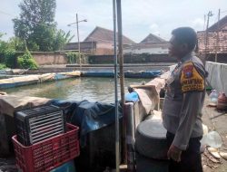 Polsek Tulangan Dukung Ketahanan Pangan Lewat Budidaya Lele di Pekarangan Warga