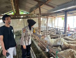 Polsek Wonoayu Pantau Perkembangan Lahan Ketahan Pangan di Desa Mojorangagung