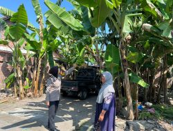 Polwan Polsek Wonoayu Tinjau Progres Lahan Ketahanan Pangan di Desa Jimbaran Kulon