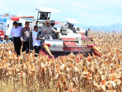 Presiden Prabowo Bahagia Bisa Panen Raya Jagung Serentak Bersama Polri