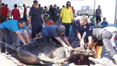 RSUD R.T. Notopuro Sidoarjo Salurkan Hewan Qurban untuk Masyarakat Sekitar di Momen Idul Adha 1446 H