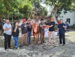 Sambut Hari Raya Idul Adha 1446 H, Perhutani KPH Bondowoso Bagikan Ratusan Daging Qurban untuk Faqir Miskin
