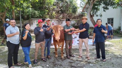 Sambut Hari Raya Idul Adha 1446 H, Perhutani KPH Bondowoso Bagikan Ratusan Daging Qurban untuk Faqir Miskin