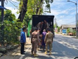 Satpol PP Bojonegoro Gelar Patroli, 8 PMKS Diamankan ke Shelter Dinas Sosial