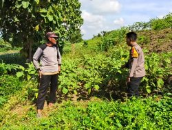Sinergi Polri dan Warga Optimalisasi Demi Ketahanan Pangan Desa Kupang