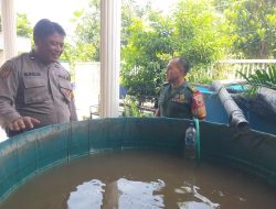 Sinergi TNI-Polri Tinjau Lokasi Budidaya Ikan Lele untuk Program Ketahanan Pangan di Desa Wedi Gedangan