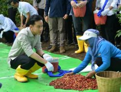 Wapres Gibran Dukung Peningkatan Produktivitas, Hilirisasi dan Branding Kopi Indonesia