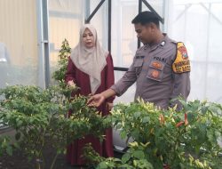 Warga Desa Jati Manfaatkan Lahan Kosong untuk Green House, Polisi Beri Motifasi Ketahanan Pangan