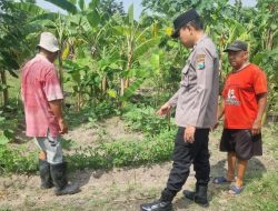 Warga Kedungturi Taman Manfaatkan Lahan Kosong untuk Sukseskan Program Ketahanan Pangan