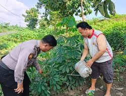 Wujud Ketahanan Pangan, Aiptu F. Rozi Cek Lahan Sayuran Warga Desa Permisan