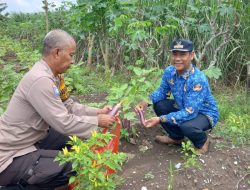 Wujud Polisi Cinta Petani, Aiptu Edy Siswanto Dukung Program Ketahanan Pangan di Desa Kemantren