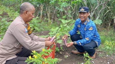 Wujud Polisi Cinta Petani, Aiptu Edy Siswanto Dukung Program Ketahanan Pangan di Desa Kemantren